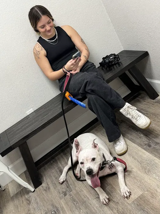Halo Animal Hospital 8