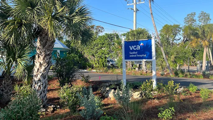 VCA Sanibel Animal Hospital 12