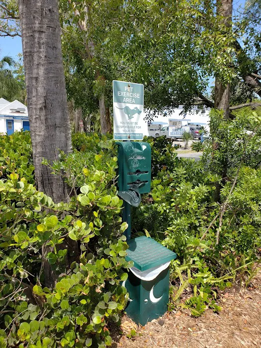 VCA Sanibel Animal Hospital 12