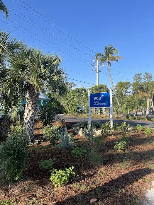 VCA Sanibel Animal Hospital 12