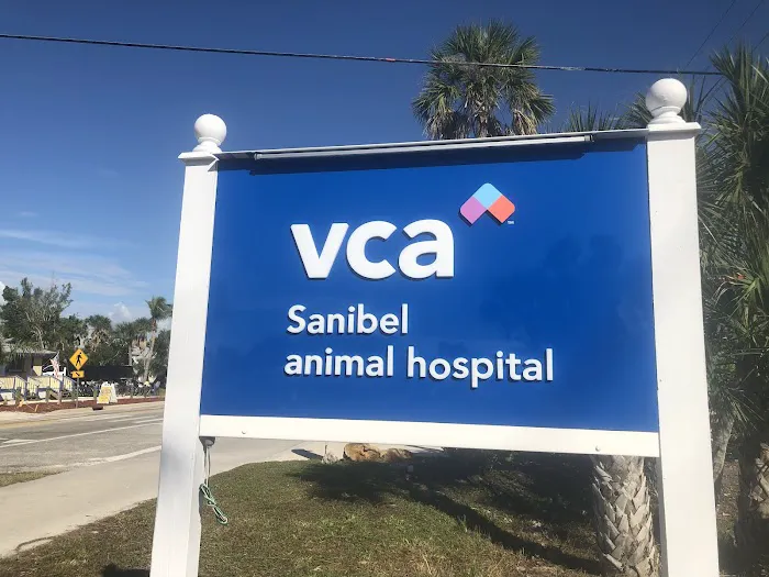 VCA Sanibel Animal Hospital 12