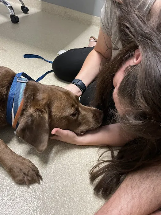 CARE | Charlotte Animal Referral & Emergency 7