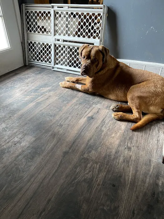 Advanced Animal Emergency 6
