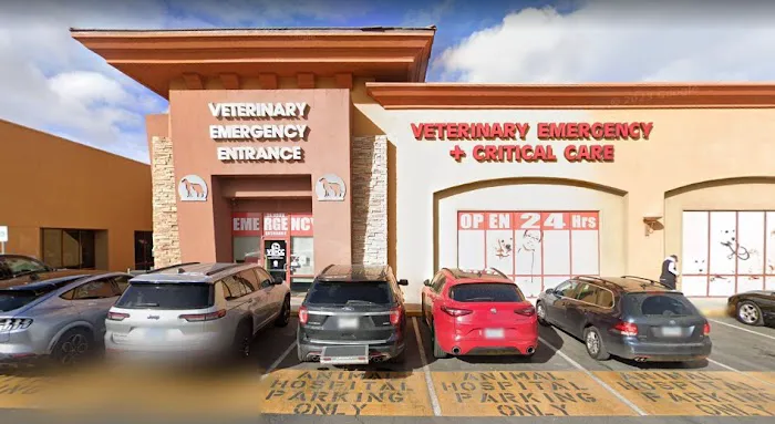 Veterinary Emergency + Critical Care 12