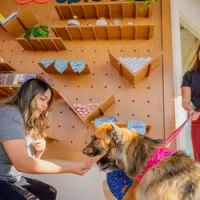 Sploot Veterinary Care - Platt Park ico