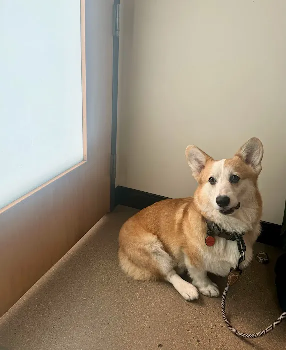 Sploot Veterinary Care - Platt Park 12