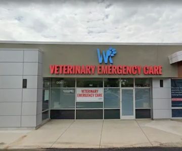 Wheat Ridge Veterinary Emergency Care Wash Park