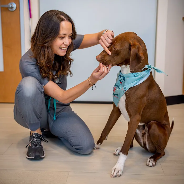 Sploot Veterinary Care - RiNo 12