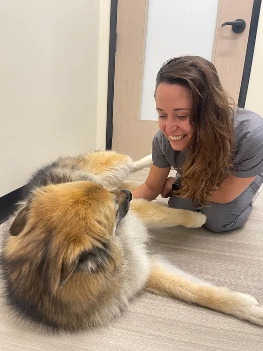 Sploot Veterinary Care - RiNo 12