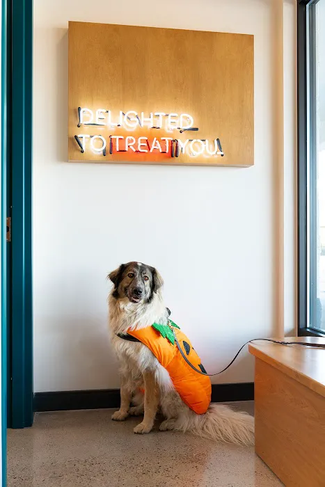 Sploot Veterinary Care - Arvada 12