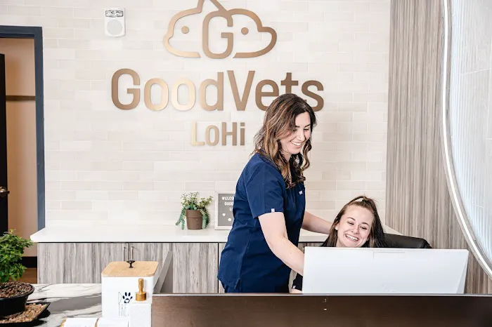 GoodVets LoHi 5