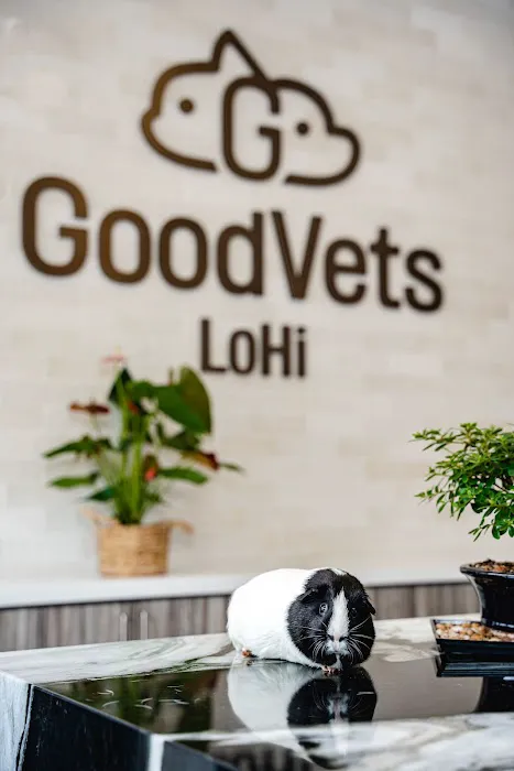 GoodVets LoHi 1