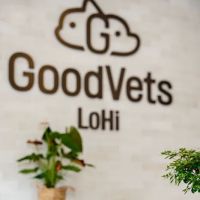 GoodVets LoHi ico