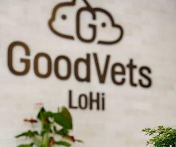 GoodVets LoHi