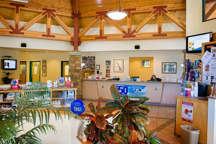 Indian Tree Animal Hospital 5