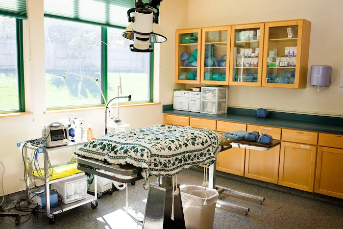 Indian Tree Animal Hospital 4