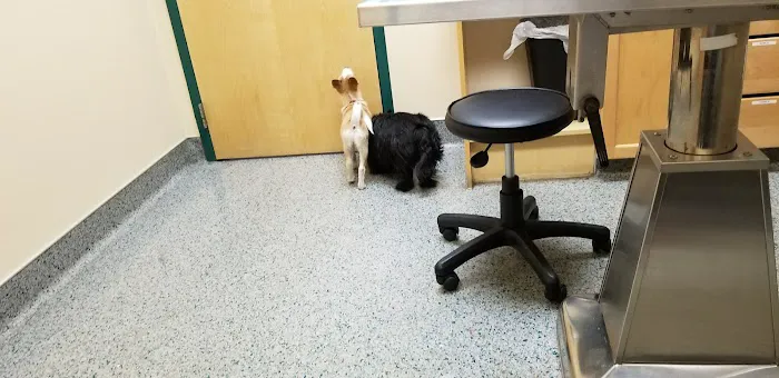 Indian Tree Animal Hospital 6