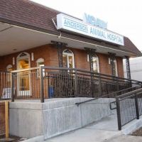 VCA Anderson Animal Hospital ico