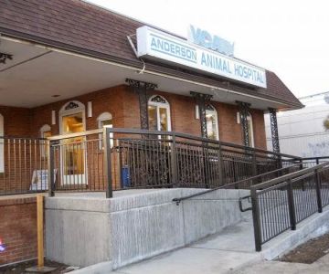 VCA Anderson Animal Hospital