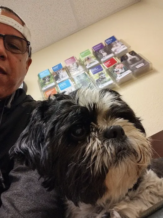 VCA Anderson Animal Hospital 2