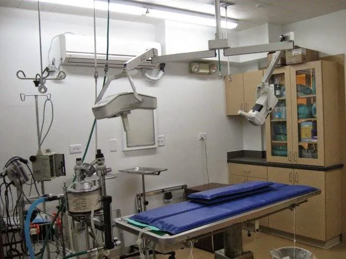 VCA Anderson Animal Hospital 8