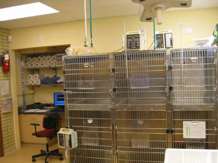 VCA Anderson Animal Hospital 5