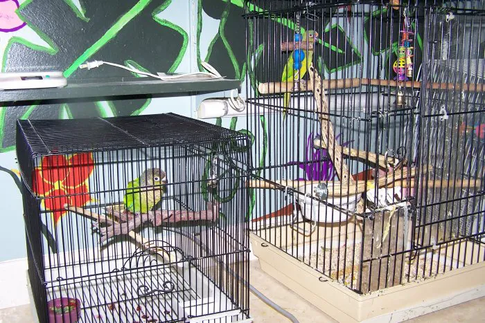 VCA Anderson Animal Hospital 6