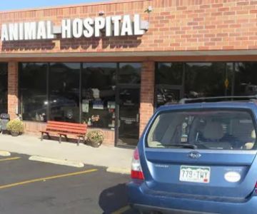 Care Animal Hospital