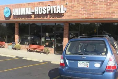 Care Animal Hospital