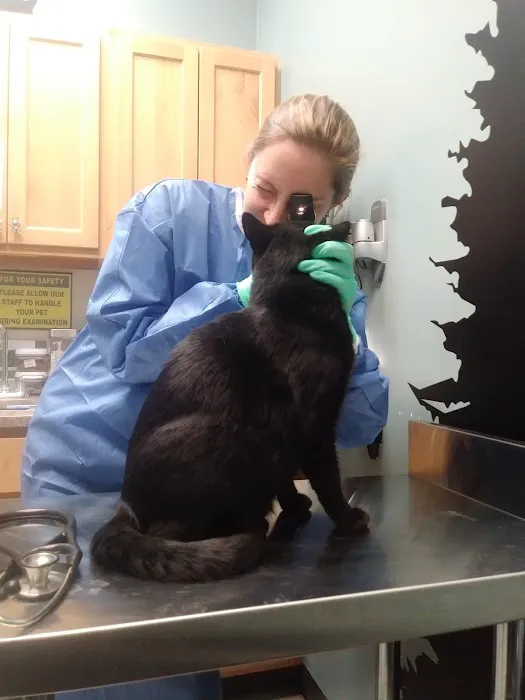 Care Animal Hospital 7