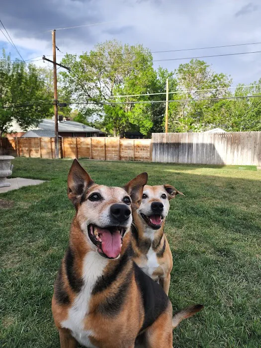 Arvada Flats Veterinary Hospital 12