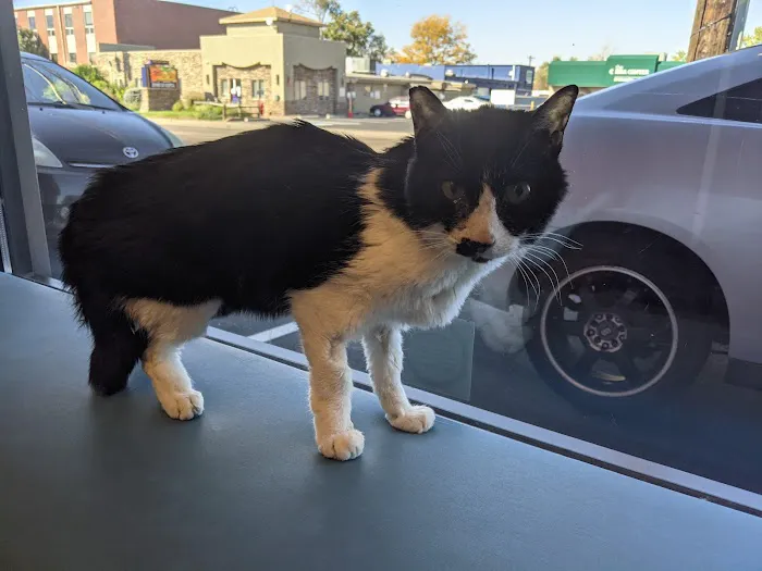 Evans East Animal Hospital 1