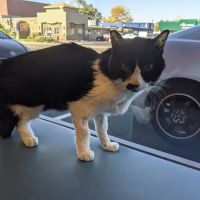 Evans East Animal Hospital ico
