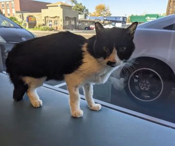 Evans East Animal Hospital