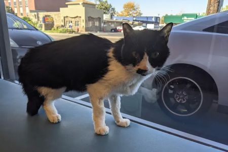 Evans East Animal Hospital