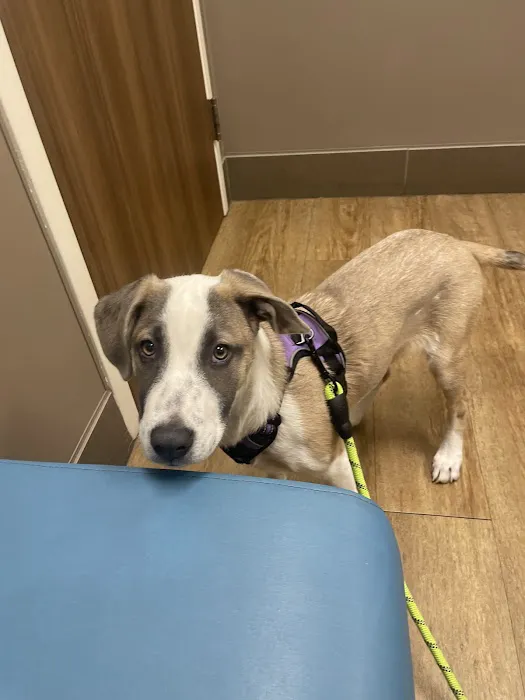 Evans East Animal Hospital 2
