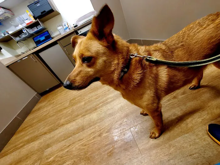Evans East Animal Hospital 7