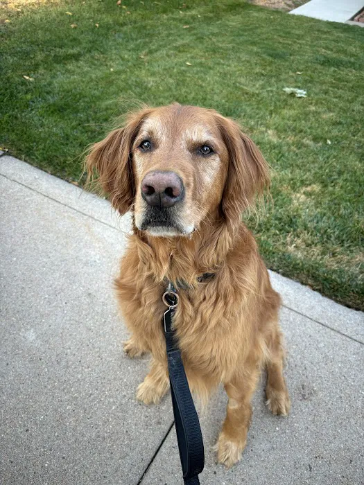 Evans East Animal Hospital 9