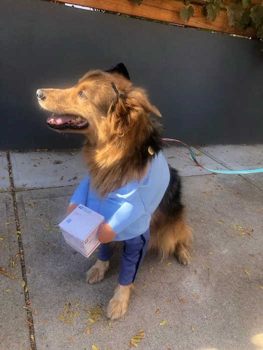 Jefferson Animal Clinic 2