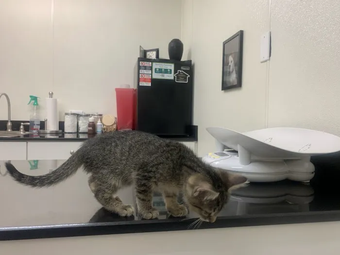 Hermosa Veterinary Clinic 9