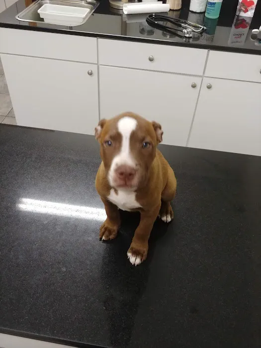 Hermosa Veterinary Clinic 2
