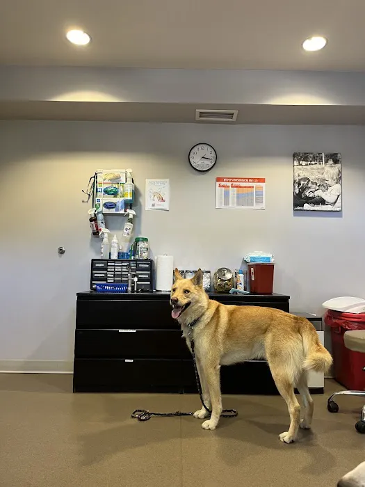 Highlands Animal Clinic 4