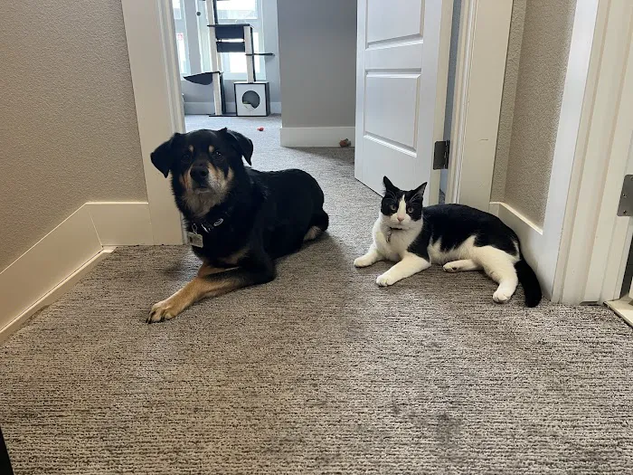 Highlands Animal Clinic 10