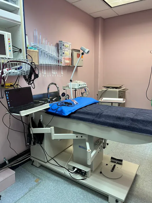 Animal Surgical Care 1
