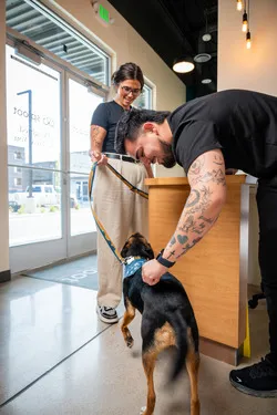 Sploot Veterinary Care - Central Park 4