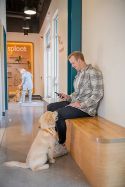 Sploot Veterinary Care - Central Park 6