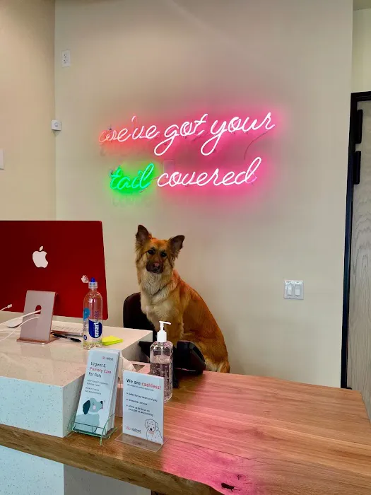 Sploot Veterinary Care - Central Park 9