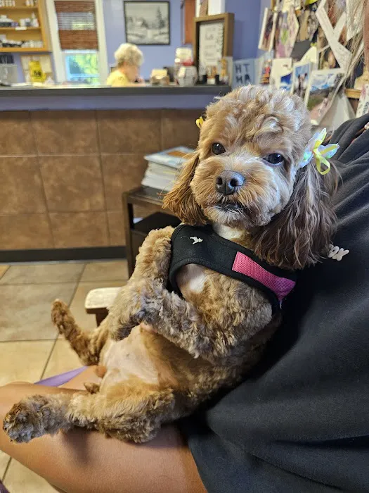 Westwood Animal Hospital 6