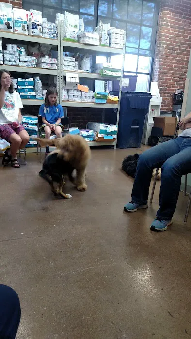 VCA Firehouse Animal Hospital 4