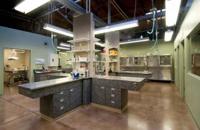 VCA Firehouse Animal Hospital 3